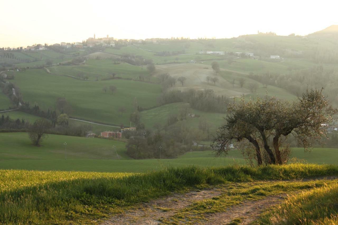 Il Nostro Sogno Bed & Breakfast Sassocorvaro Exterior photo